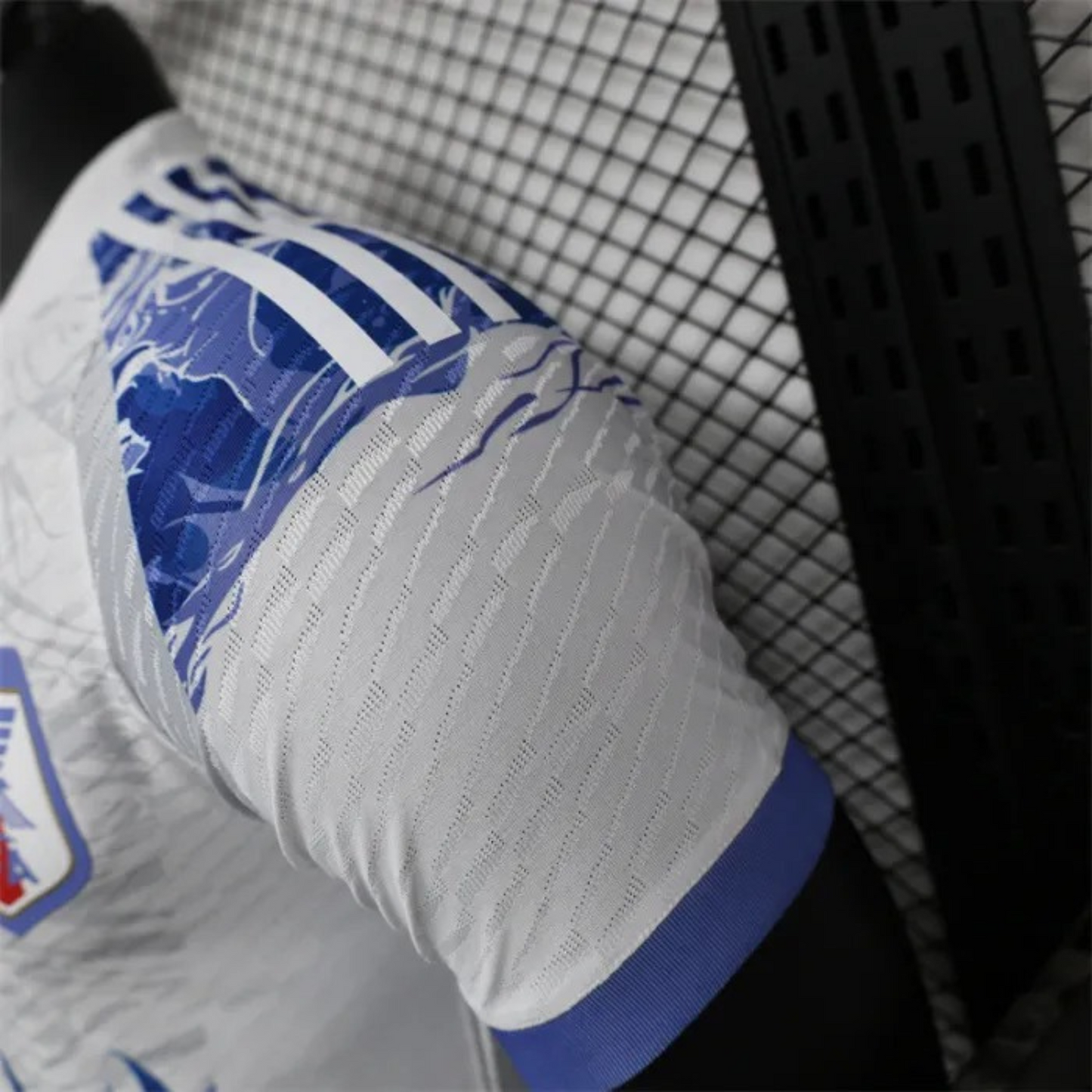 JAPAN BLUE DRAGON KIT
